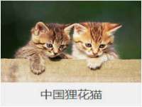 无锡际思睿信息科技有限公司