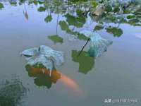 无锡际思睿信息科技有限公司