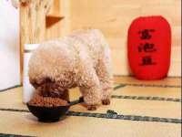 无锡际思睿信息科技有限公司