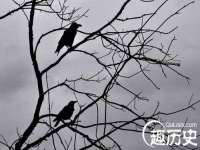 无锡际思睿信息科技有限公司