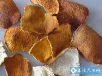 无锡际思睿信息科技有限公司